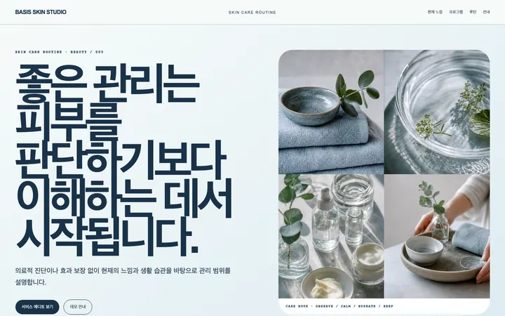 베이시스 스킨 스튜디오 데스크톱 미리보기